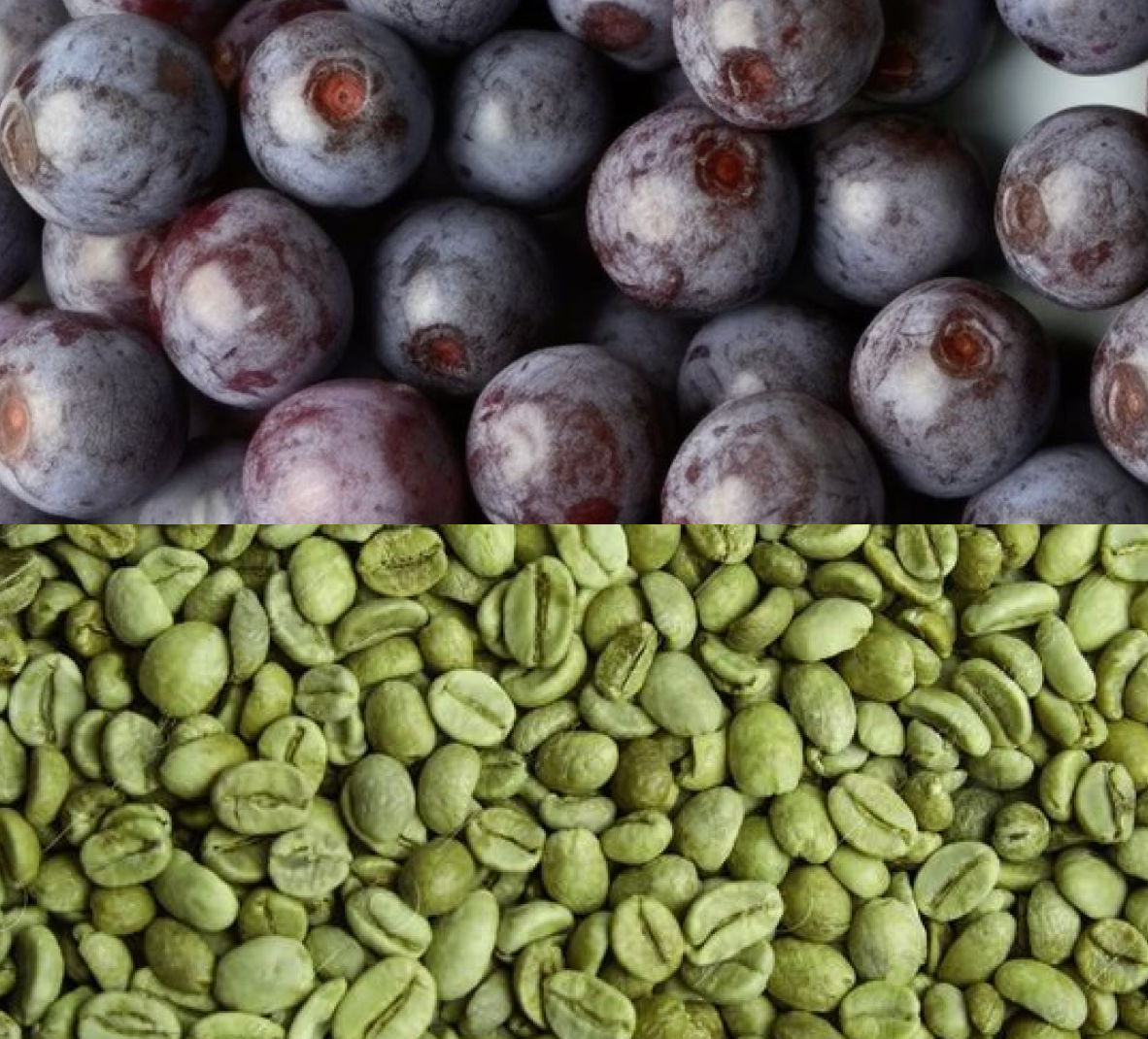 Nutrition for Hair Growth: What to Eat, What Deficiencies Matter, and What Results to Expect